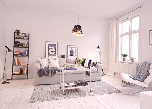 70+ nápadov dizajnu bielej obývačky (foto)