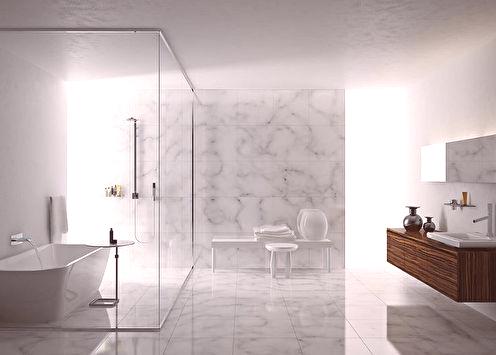 Kúpeľňa v štýle minimalizmu: nápady na dizajn (90 fotografií)