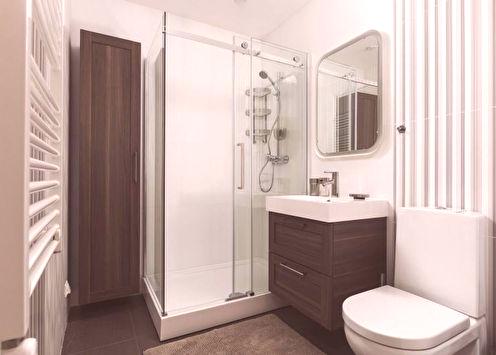 Kupaonica s tušem (85 fotografija): ideje za dizajn